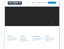 Tablet Screenshot of nesher.com